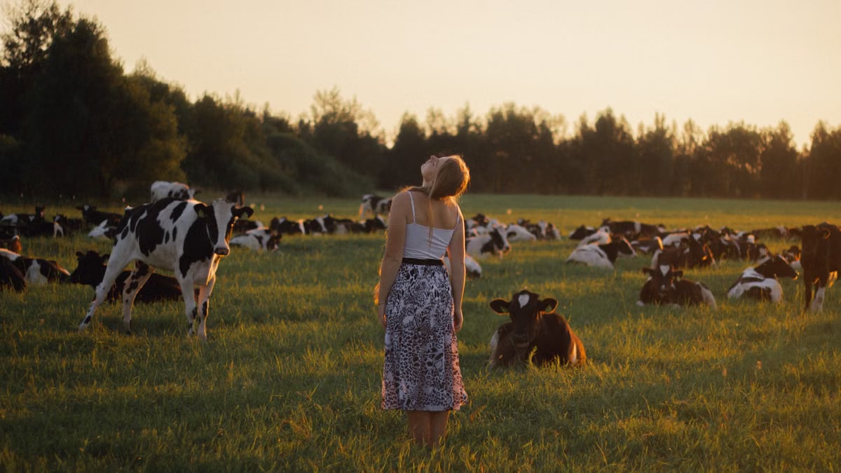 A woman stands among cows in a sunlit rural field, embracing nature at sunset.